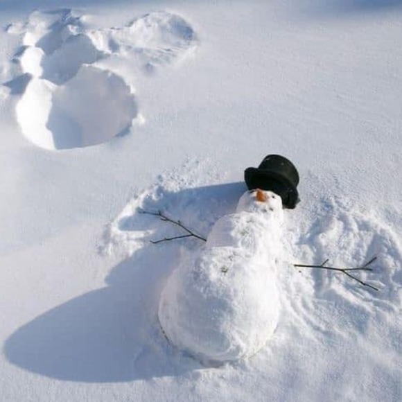 Profile Picture of Laura Barry (@laurabarry183) on Poshmark