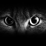 Profile Picture of Sheila Zwisler (@SheilaVee4444) on Youtube