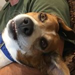 Profile Picture of Benny Barber (@bagelbenny) on Instagram