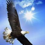 Profile Picture of Luis Ramos (@Luis-Ramos) on Facebook