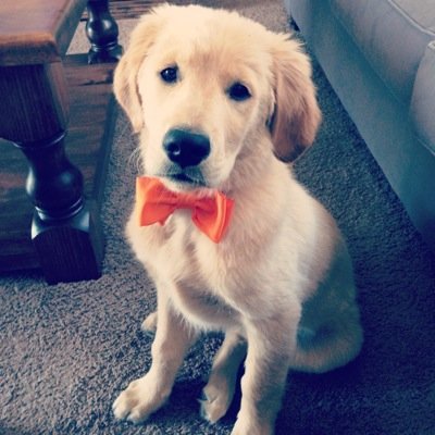 Profile Picture of Alyssa Yoder (@ayoder262) on Twitter