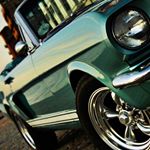 Profile Picture of Isabela Risper (@isabelarisper) on Instagram