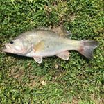 Profile Picture of Keith Painter (@keith_p_157) on Instagram