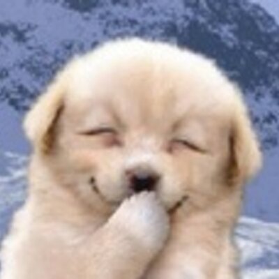 Profile Picture of Matthew Jeon (@mattjeon) on Twitter