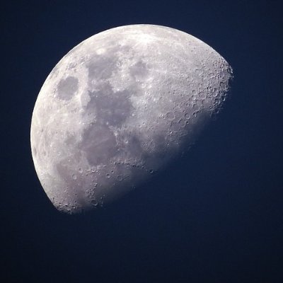 Profile Picture of Truman Daniels (@TrumanADaniels) on Twitter