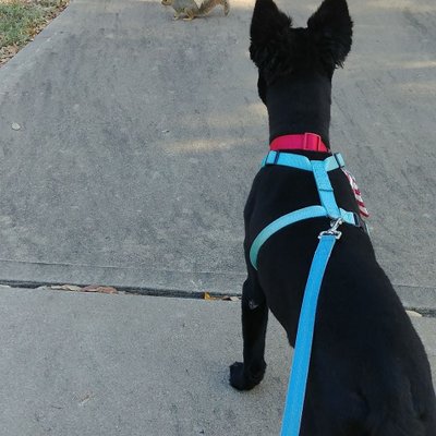 Profile Picture of Vincent McCormick (@vincentcomick) on Twitter