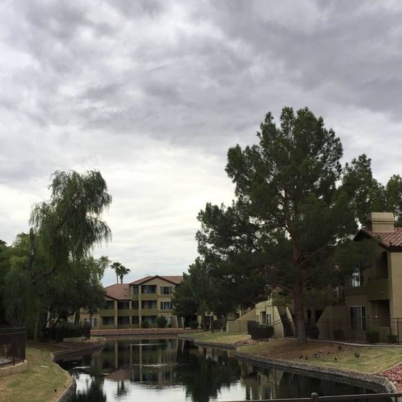 Elham Fallatah - Poshmark Profile Picture of Elham Fallatah (@fragrance1460) on Poshmark