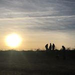 Profile Picture of David Gillett (@mullett100) on Instagram