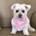 Profile Picture of Kathie Scott (@KathieS13440027) on Twitter