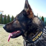 C H R I S Žitavská Dolina - Instagram Profile Picture of C H R I S Žitavská Dolina (@chris_zitavskadolina) on Instagram