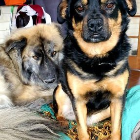 Profile Picture of Boone Harper (@BooneHarper3) on Twitter