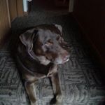 Profile Picture of Jonathan (@jojodennis) on Instagram