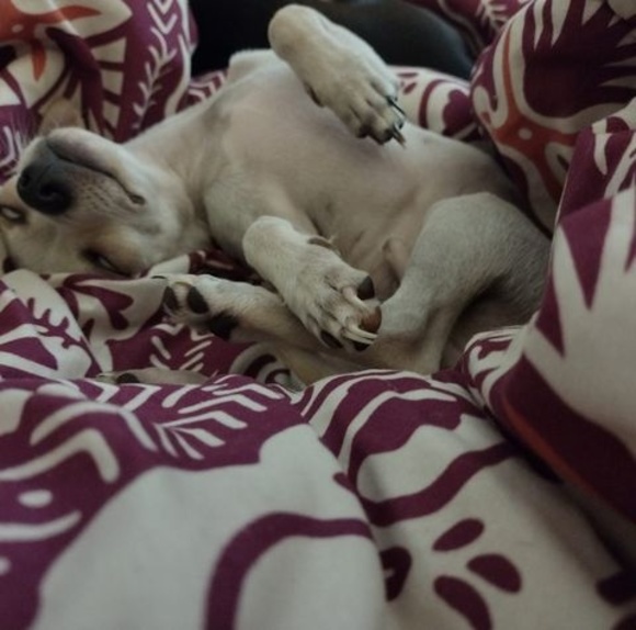 Beverly Raughtym - Poshmark Profile Picture of Beverly Raughtym (@beverlyraughtym) on Poshmark