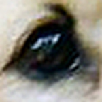 Profile Picture of Salvador Jimenez (@salvador_jimenez) on Flickr