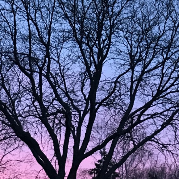 Profile Picture of Rosalie Griffiths (@rosa0205) on Poshmark