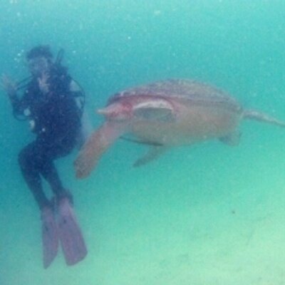 Profile Picture of かおり (@carlolin) on Twitter