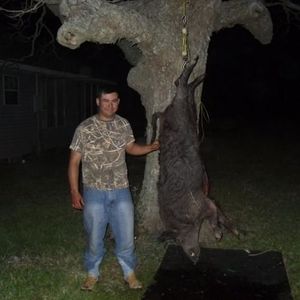Profile Picture of William Diaz (@william08diaz) on Myspace