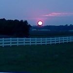 Profile Picture of Cedric Moody (@cedric.moody.52) on Instagram