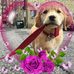 Profile Picture of Andrew Marcucci (@Andrew.Marcucci.33) on Facebook