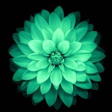 Profile Picture of Carly Cummings (@carlycummings85) on Twitter