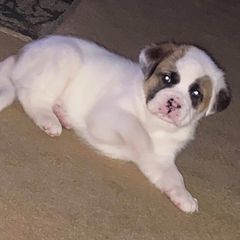 Profile Picture of tomcaruso009 (@tomcaruso009) on Tiktok