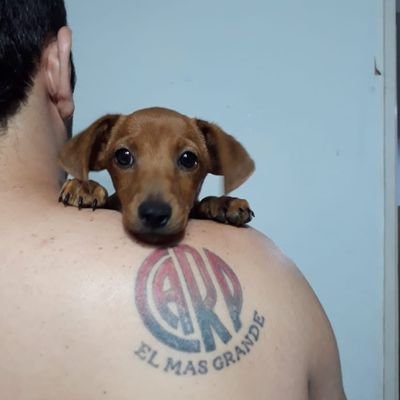 Profile Picture of Alejandro Escudero (@Ale_Heroico) on Twitter