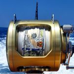 Profile Picture of 🦍Wilmer VR♛ (@w.valladares) on Instagram