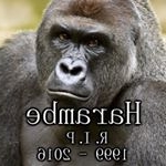 Profile Picture of Alyx Colon-smith (@alyxcolonsmith) on Instagram