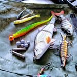 Profile Picture of Rob Finch (@thenorfolkbushman) on Instagram