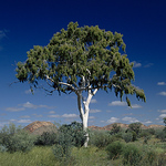 Profile Picture of Michael Cameron (@michael.cameron18) on Flickr