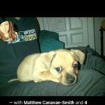 Profile Picture of Matthew Canavan (@matthew_canavan) on Instagram