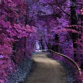 Profile Picture of Nancy Ovando (@NancyOvando3) on Twitter