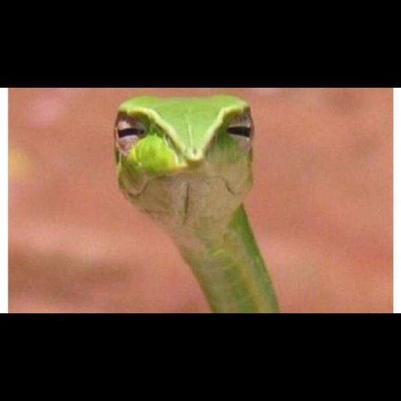 Profile Picture of Jocelyn Capilla (@jcapilla13) on Poshmark