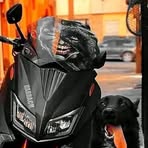Profile Picture of أيمن قباش (@أيمن-قباش) on Facebook