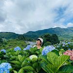 Profile Picture of Jantra Boonaun (@jantradpokk) on Instagram