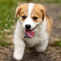 Profile Picture of Lorelei Johnson (@lorelei-johnson-3) on Quora