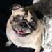 Profile Picture of Allison Hiseley (@allisonhiseley) on Pinterest