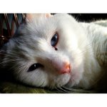 Profile Picture of Brian Sparkman (@briansparkman) on Instagram