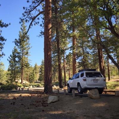 Profile Picture of David Plueger (@T4R_Dave) on Twitter