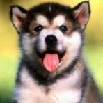 Barbara Markiewicz - Facebook Profile Picture of Barbara Markiewicz (@barbara.markiewicz.79656) on Facebook