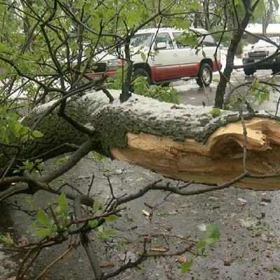 Profile Picture of Fallen Branchon Twitter