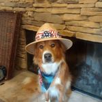 Profile Picture of Albert Luscher (@albertluscher) on Instagram