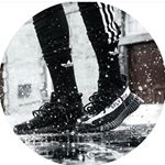 Profile Picture of Andrew Spadafora (@andrew.spaddy) on Instagram