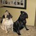 Profile Picture of Carleen Gainer (@carleengainer) on Pinterest