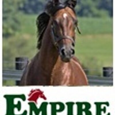 Profile Picture of Empire Stallions (@EmpireStallions) on Twitter