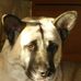 Profile Picture of Kory Beaudry (@kory.beaudry.3) on Facebook