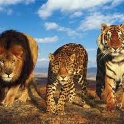 Profile Picture of Marc Frasier II (@FrasierII) on Twitter