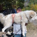 Profile Picture of Adam Harkins (@adam.harkins) on Instagram
