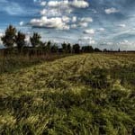 Profile Picture of Herbert_Barnett (@herbert_barnettu) on Instagram