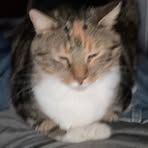 Profile Picture of Jasmyn Murphy (@Jasmyn-Murphy) on Facebook